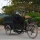 vintage food cart chinese food truck manufacturer